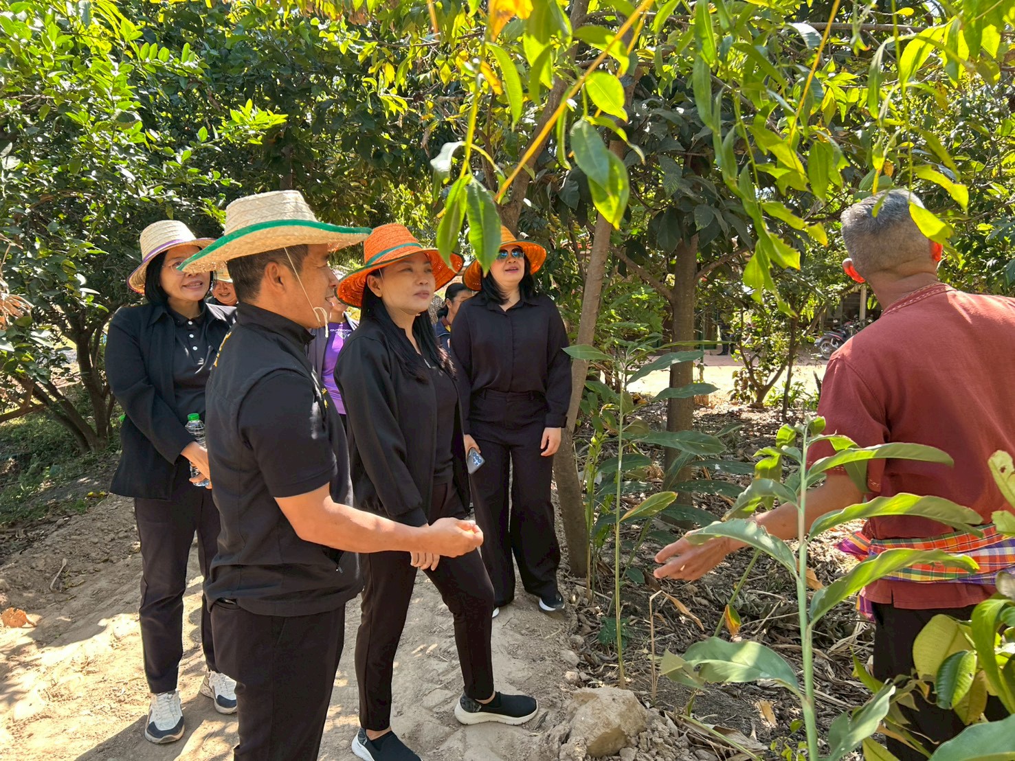 title - ผู้ตรวจราชการ ส.ป.ก. ประชุมตรวจราชการและติดตามความก้าวหน้าผลการดำเนินงานตามแผนการตรวจราชการของผู้ตรวจราชการสำนักงานการปฏิรูปที่ดินเพื่อเกษตรกรรม  ประจำปีงบประมาณ พ.ศ. 2569 รอบที่ 1 เขตตรวจราชการที่ 14 จังหวัดยโสธร